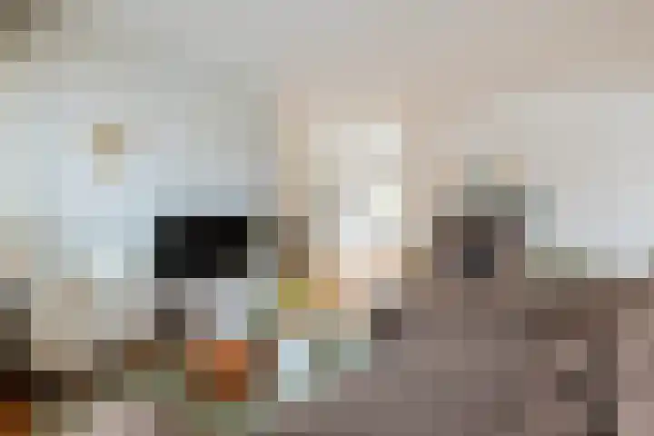 Framaheerd 32 Groningen thumbnail 8