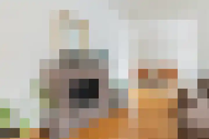 Framaheerd 32 Groningen thumbnail 9