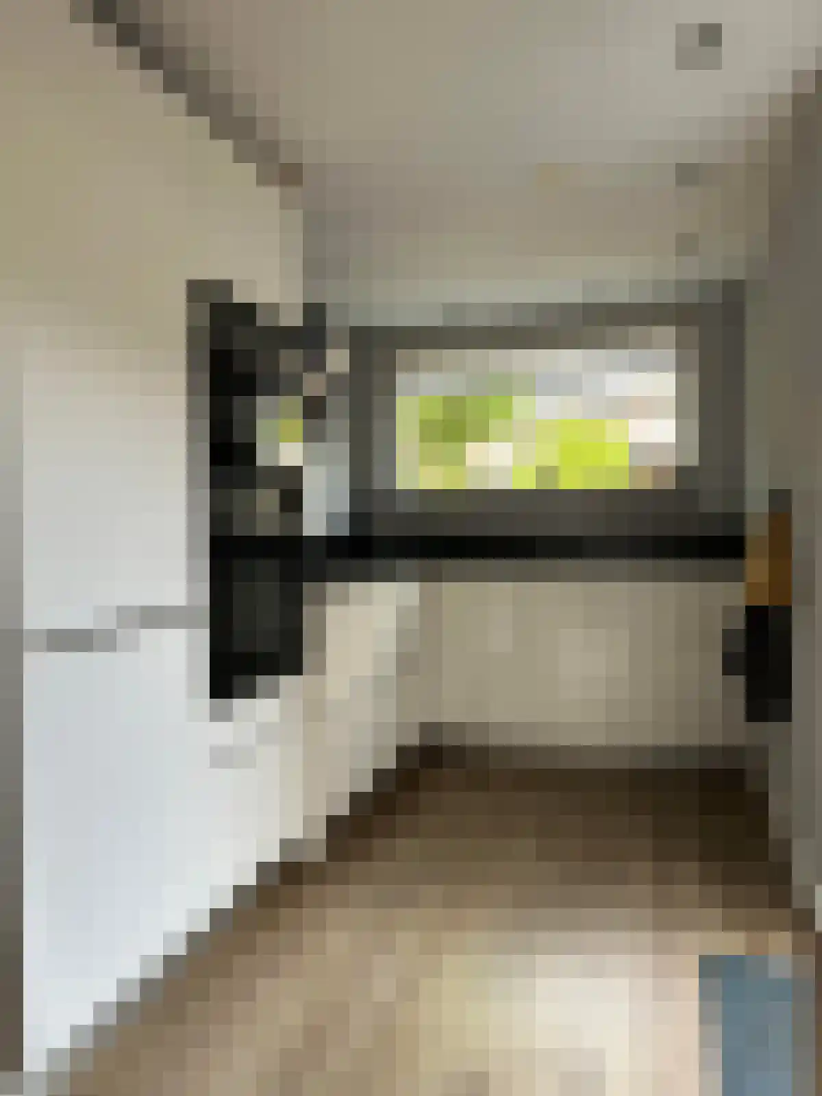 Framaheerd 66 Groningen thumbnail 5