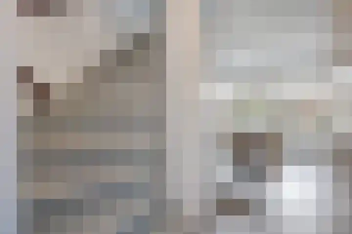 Framaheerd 84 Groningen thumbnail 10