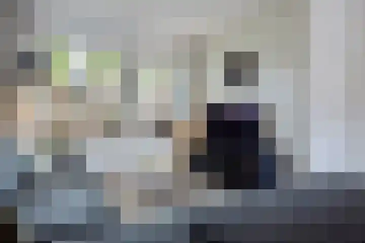 Framaheerd 84 Groningen thumbnail 12