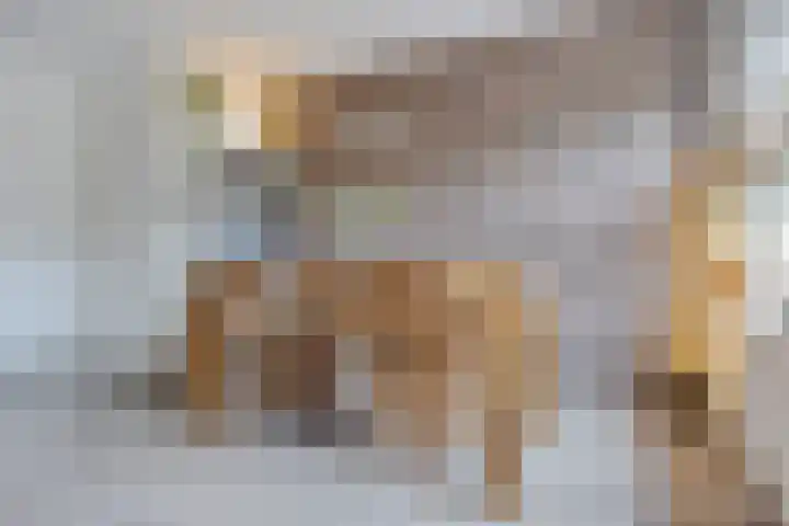 Framaheerd 84 Groningen thumbnail 14