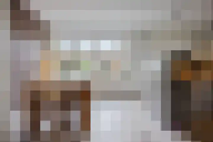 Framaheerd 84 Groningen thumbnail 15