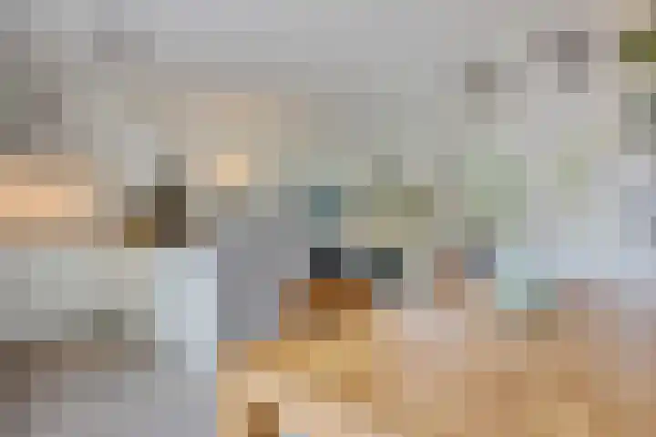 Framaheerd 84 Groningen thumbnail 16
