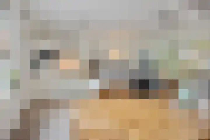 Framaheerd 84 Groningen thumbnail 17