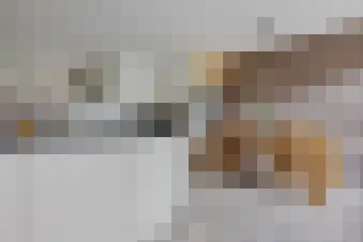 Framaheerd 84 Groningen thumbnail 18