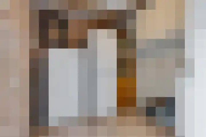 Framaheerd 84 Groningen thumbnail 19