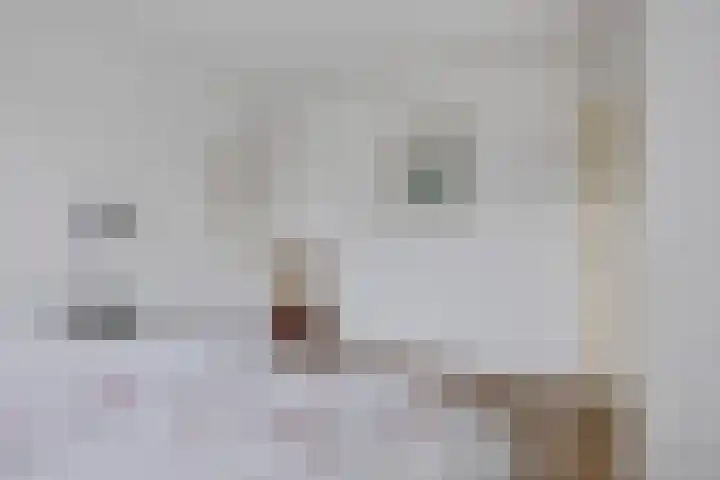 Framaheerd 84 Groningen thumbnail 23