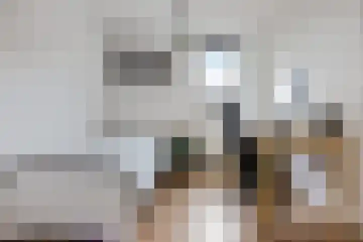 Framaheerd 84 Groningen thumbnail 25