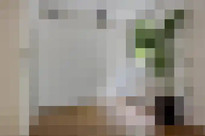 Framaheerd 84 Groningen thumbnail 27