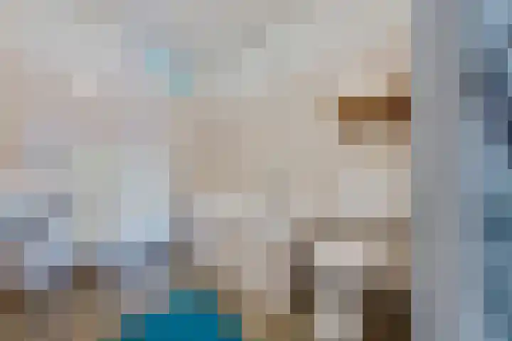 Framaheerd 84 Groningen thumbnail 28