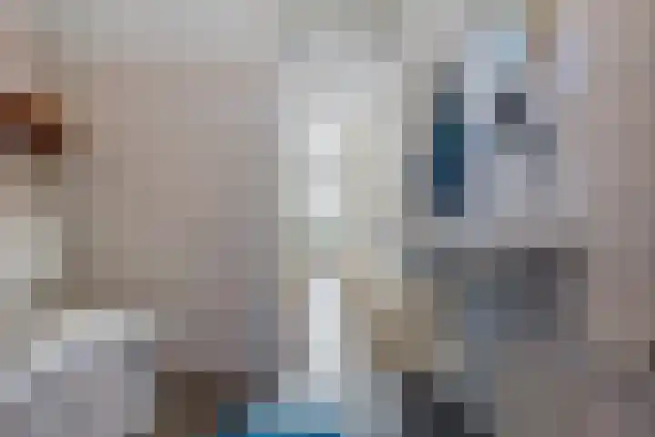 Framaheerd 84 Groningen thumbnail 29