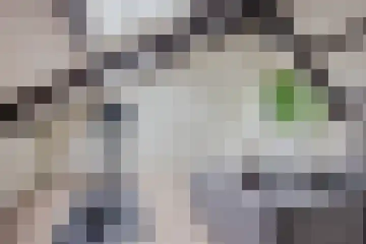 Framaheerd 84 Groningen thumbnail 32
