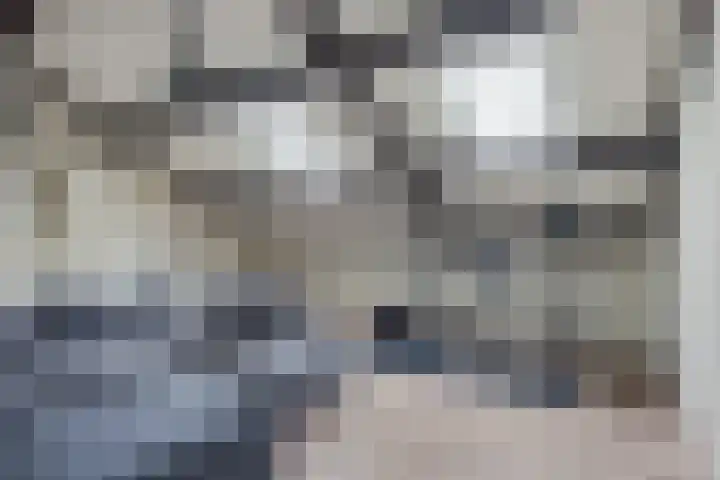 Framaheerd 84 Groningen thumbnail 33