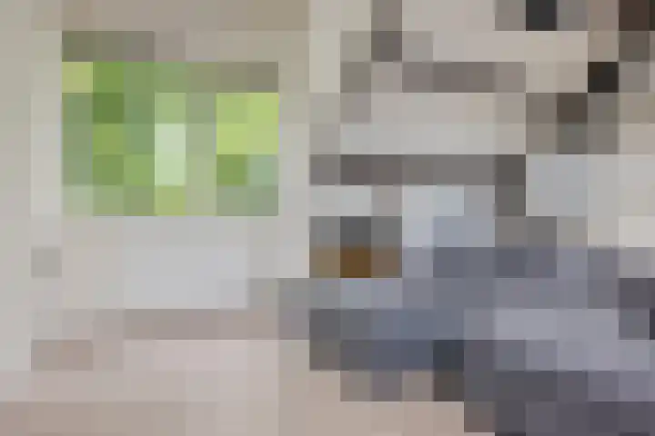 Framaheerd 84 Groningen thumbnail 34
