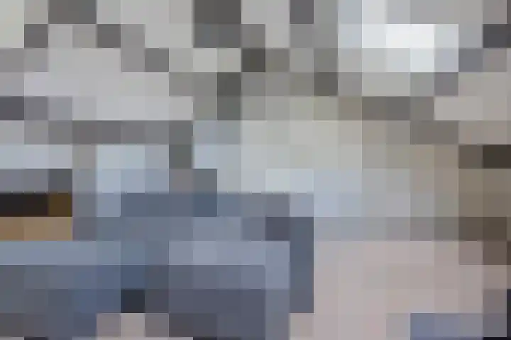 Framaheerd 84 Groningen thumbnail 35