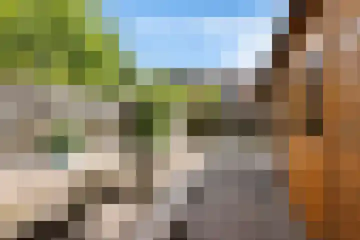 Framaheerd 84 Groningen thumbnail 39