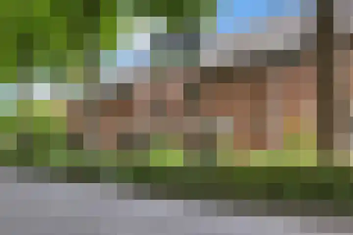 Framaheerd 84 Groningen thumbnail 4