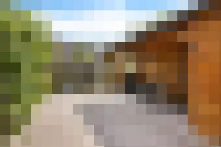 Framaheerd 84 Groningen thumbnail 40