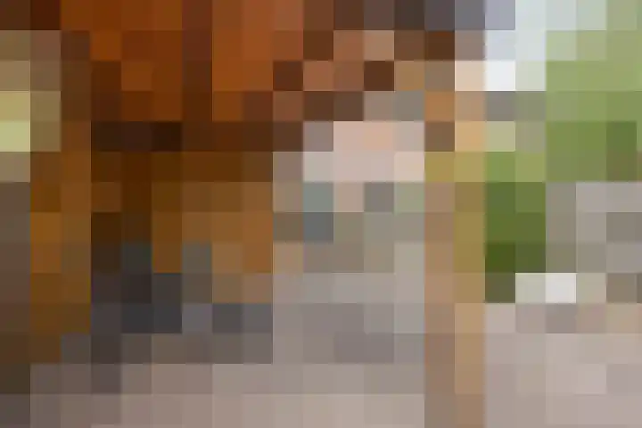 Framaheerd 84 Groningen thumbnail 41