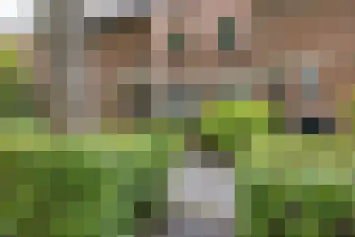 Framaheerd 84 Groningen thumbnail 45