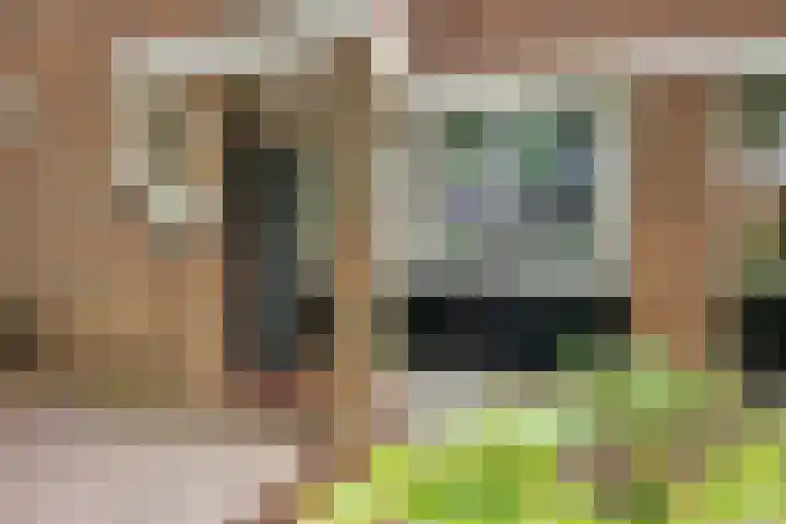 Framaheerd 84 Groningen thumbnail 5