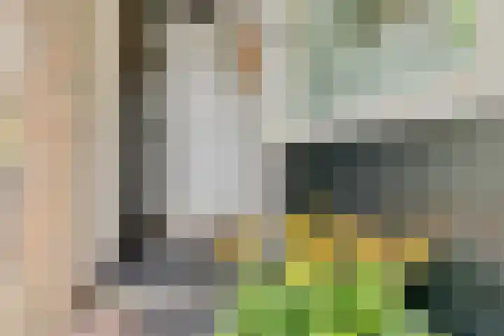 Framaheerd 84 Groningen thumbnail 6