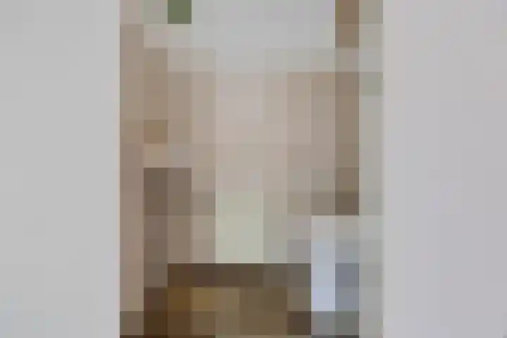 Framaheerd 84 Groningen thumbnail 8