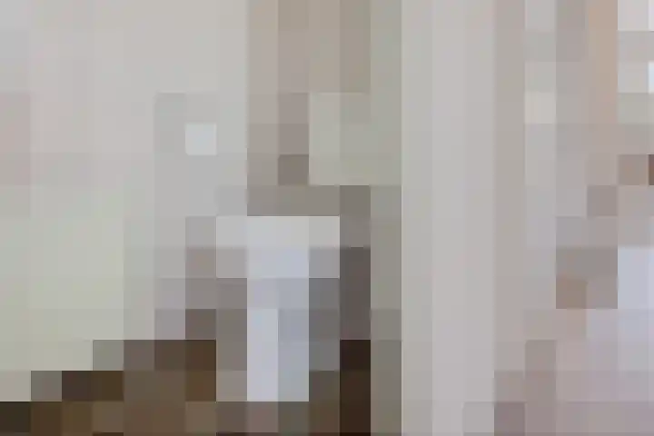 Framaheerd 84 Groningen thumbnail 9