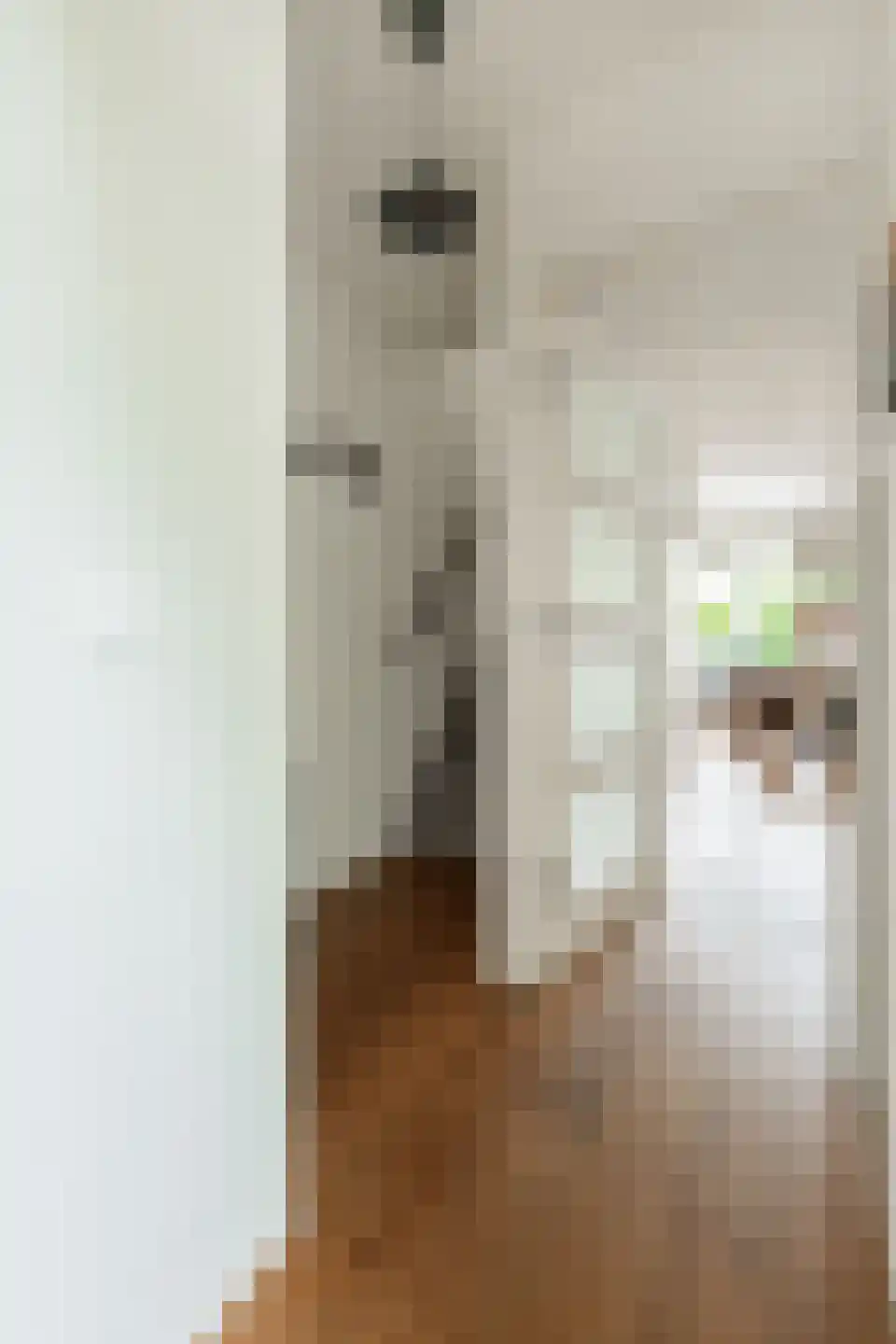 Framaheerd 95 Groningen thumbnail 10