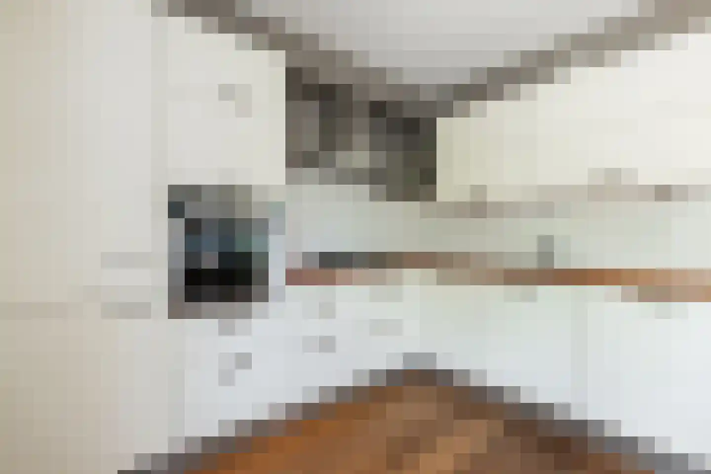 Framaheerd 95 Groningen thumbnail 17