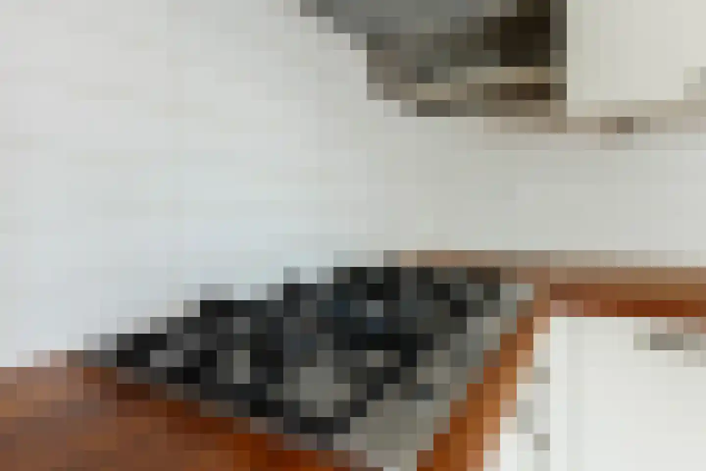 Framaheerd 95 Groningen thumbnail 19