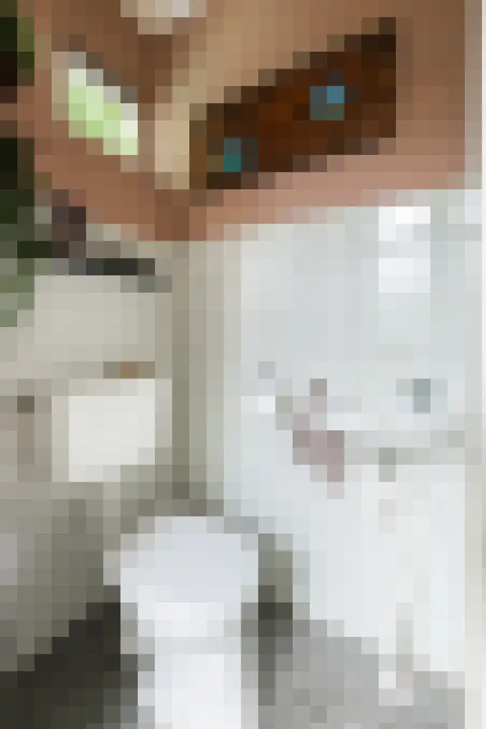 Framaheerd 95 Groningen thumbnail 24