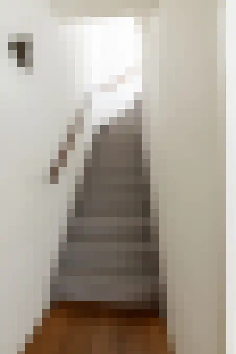 Framaheerd 95 Groningen thumbnail 25
