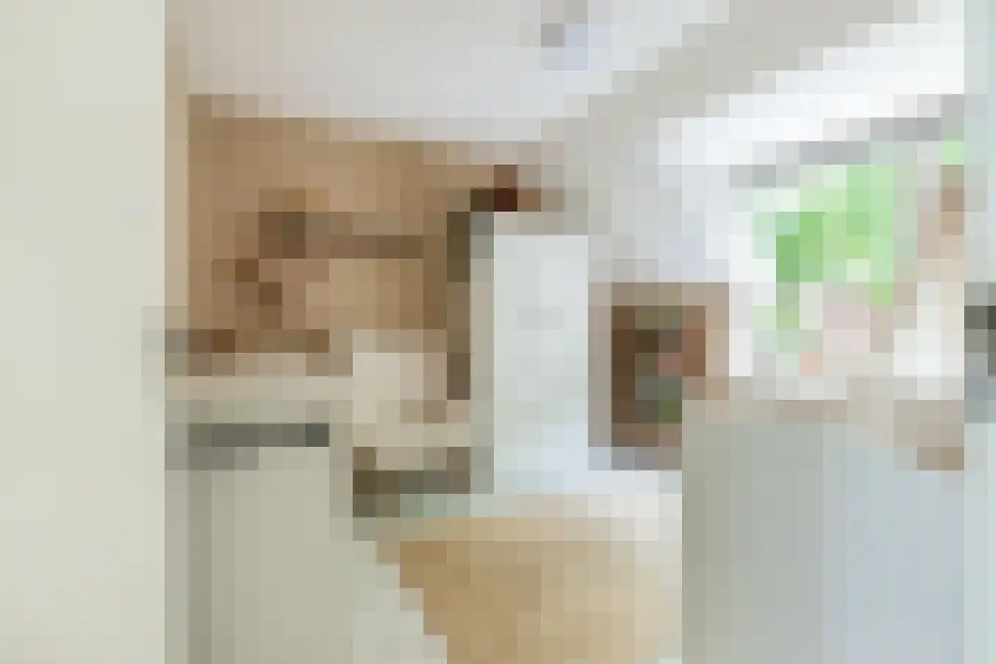 Framaheerd 95 Groningen thumbnail 29