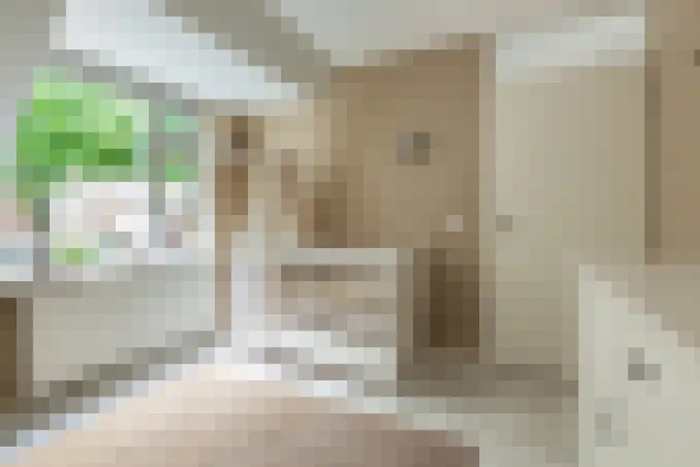 Framaheerd 95 Groningen thumbnail 31