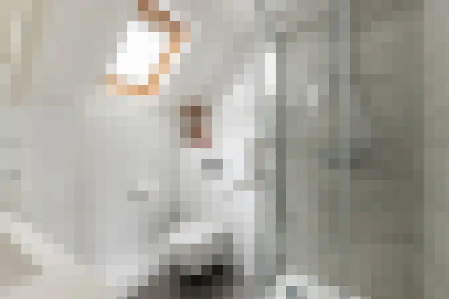 Framaheerd 95 Groningen thumbnail 35