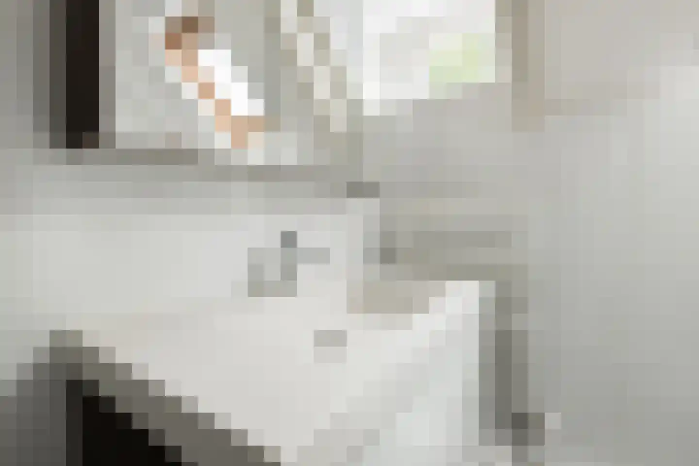 Framaheerd 95 Groningen thumbnail 36