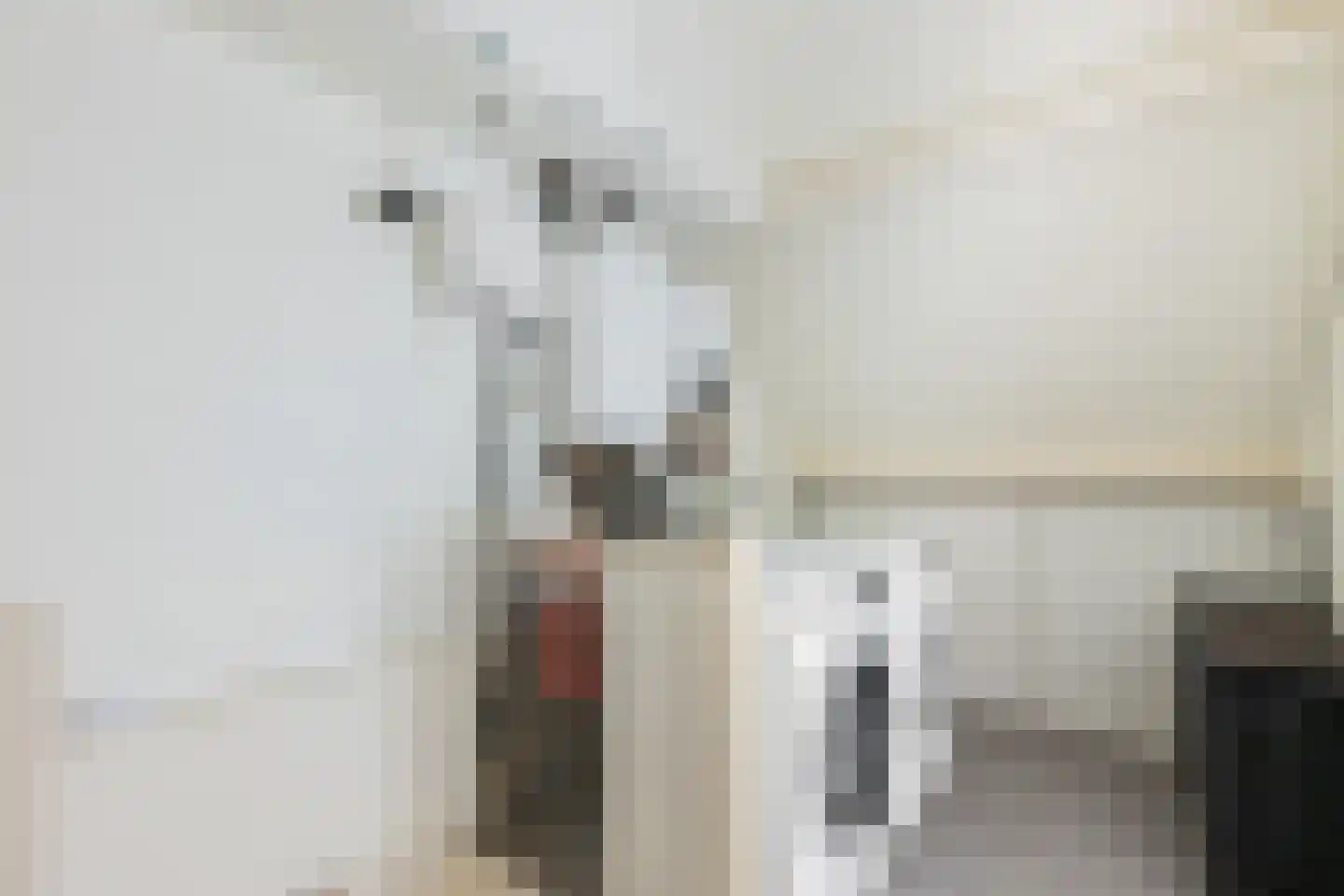 Framaheerd 95 Groningen thumbnail 37