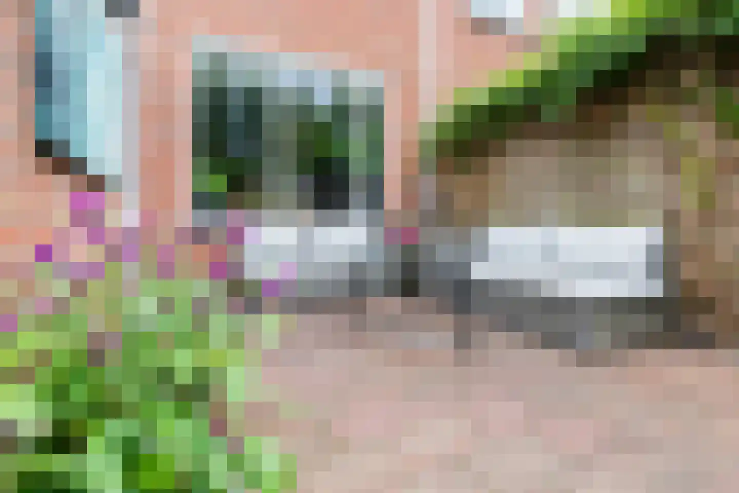 Framaheerd 95 Groningen thumbnail 40
