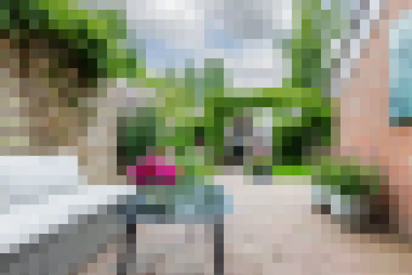 Framaheerd 95 Groningen thumbnail 42