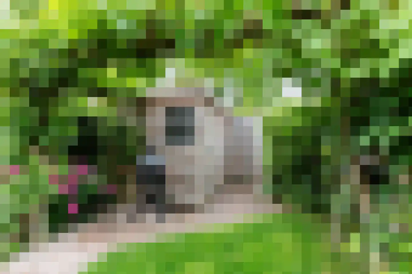 Framaheerd 95 Groningen thumbnail 45