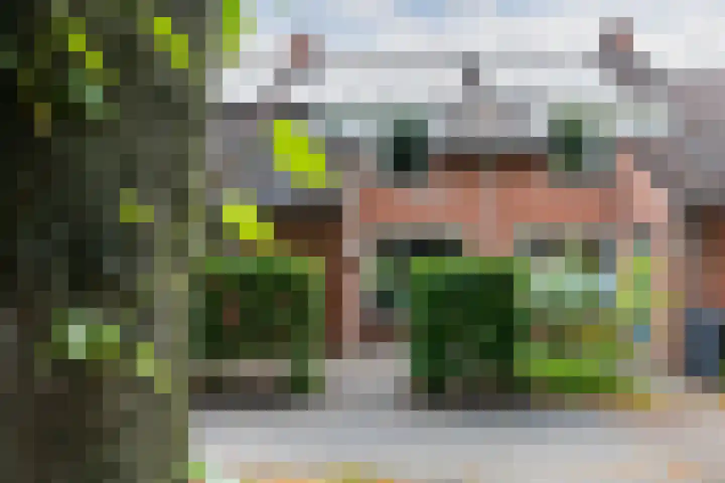 Framaheerd 95 Groningen thumbnail 6