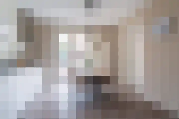 Framboas 12 Sweagerbosk thumbnail 10