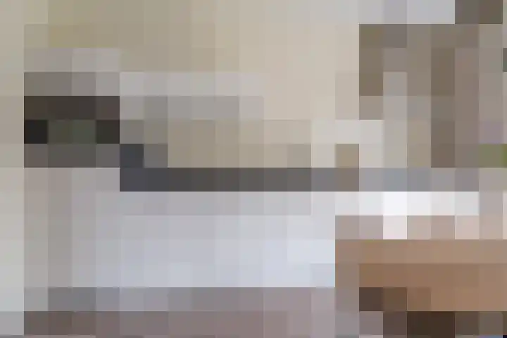 Framboas 12 Sweagerbosk thumbnail 11