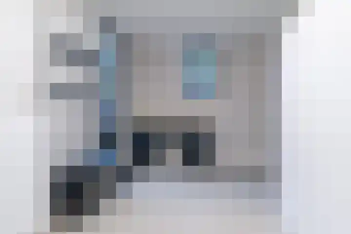 Framboas 12 Sweagerbosk thumbnail 17