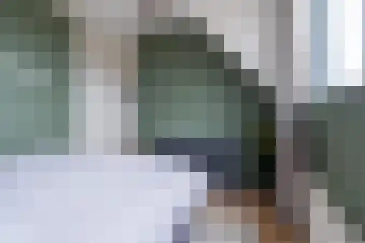 Framboas 12 Sweagerbosk thumbnail 22