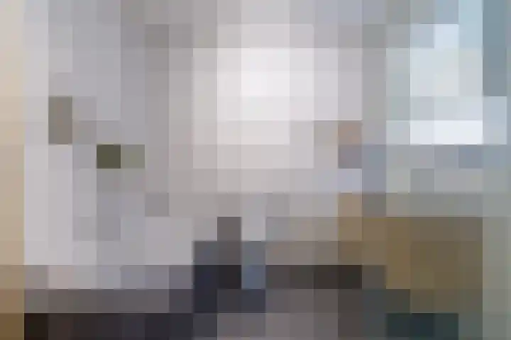 Framboas 12 Sweagerbosk thumbnail 29