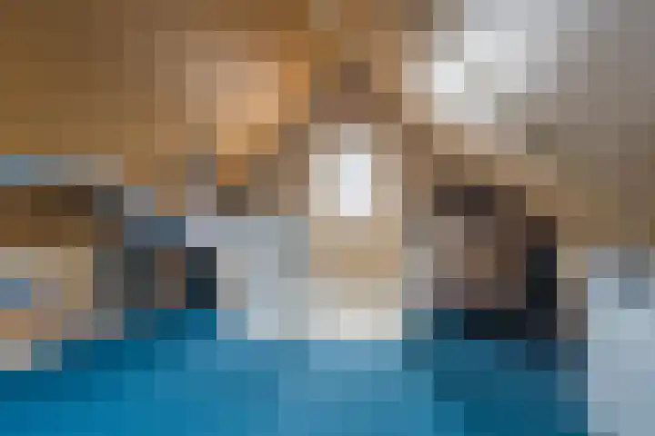 Framboas 12 Sweagerbosk thumbnail 33