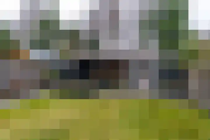 Framboas 12 Sweagerbosk thumbnail 34